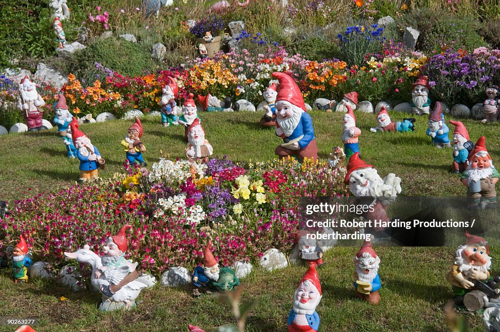 Gnomes, Port Stanley, Falkland Islands, South America