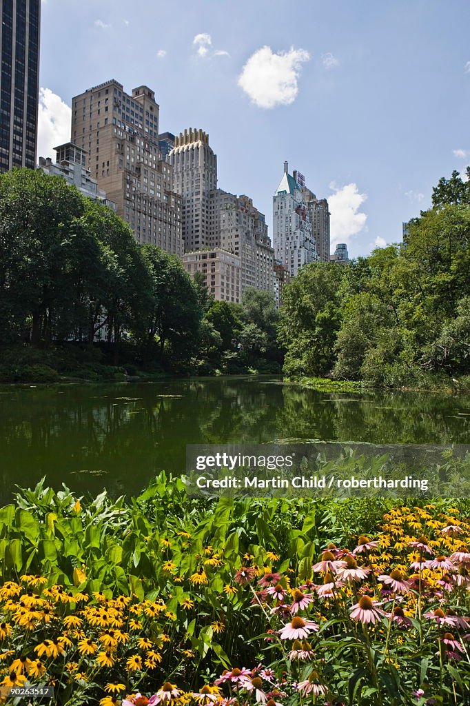 Summer flowers and The Pond, Central Park, Manhattan, New York, United States of America, North America