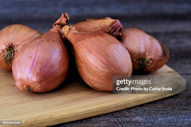 shallots - shallot stock pictures, royalty-free photos & images