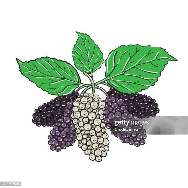 Mulberry Tree Pattern 3,914 Mulberry Pattern Stock Photos, High-Res Pictures, and Images ...
