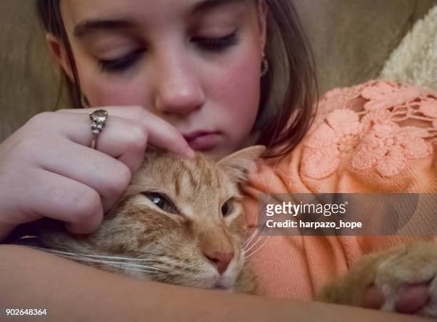 sad cat owner petting her friend. - girls cuddling cat stock-fotos und bilder