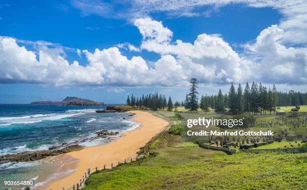 beach at cemetary bay - norfolk island stock pictures, royalty-free photos & images