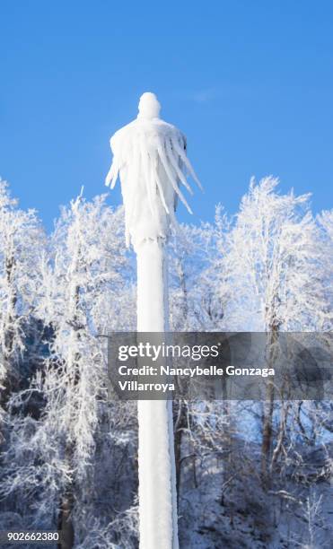 winter in niagara falls canada - nancybelle villarroya stock pictures, royalty-free photos & images