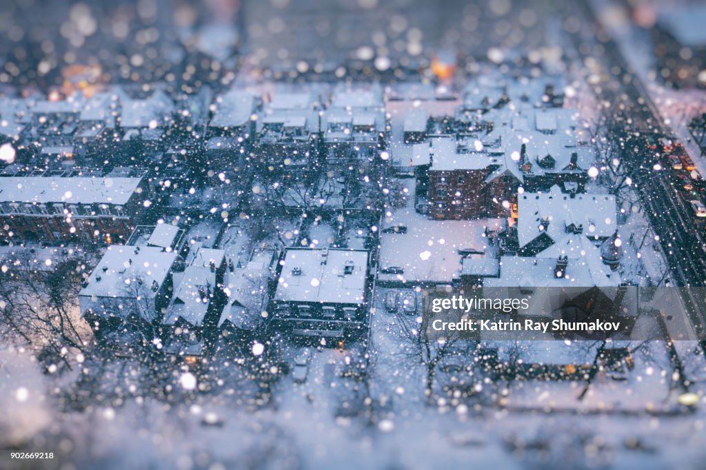 Snow Globe of Winter Wonder City