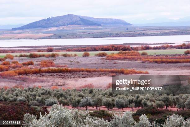 fuente piedra lagoon - fuente de piedra stock pictures, royalty-free photos & images