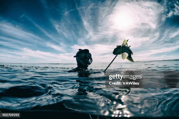 diving down looking for fish in the pacific ocean - hunting fishing stock pictures, royalty-free photos & images