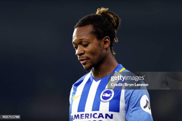 Gaetan Bong of Brighton & Hove Albion looks on during The Emirates FA Cup Third Round match between Brighton & Hove Albion and Crystal Palace at Amex...