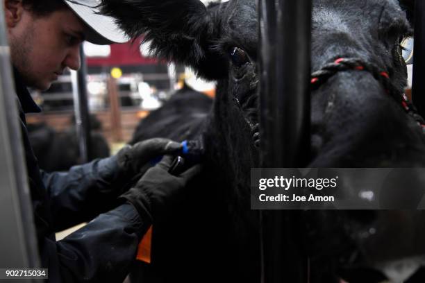 Dlcc Ranch Colebee Photos and Premium High Res Pictures - Getty Images