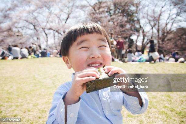 niño comiendo un plato de arroz en el parque - bola de arroz fotografías e imágenes de stock