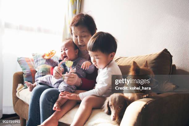 grandmother and grandchildren at home - multi generational family with pet stock pictures, royalty-free photos & images