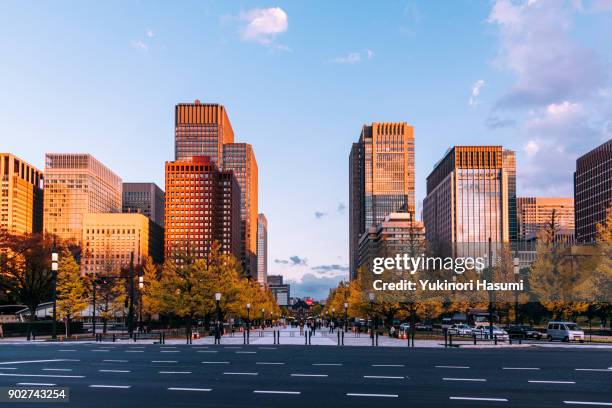 autumn leaves of the imperial garden - townscape 個照片及圖片檔