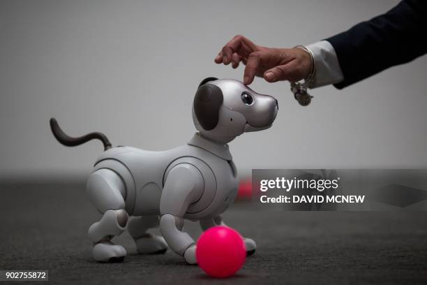 The newest generation of the Aibo robot, which uses artificial intelligences, is demonstrated on the eve of CES in Las Vegas, Nevada, January 8, 2018.