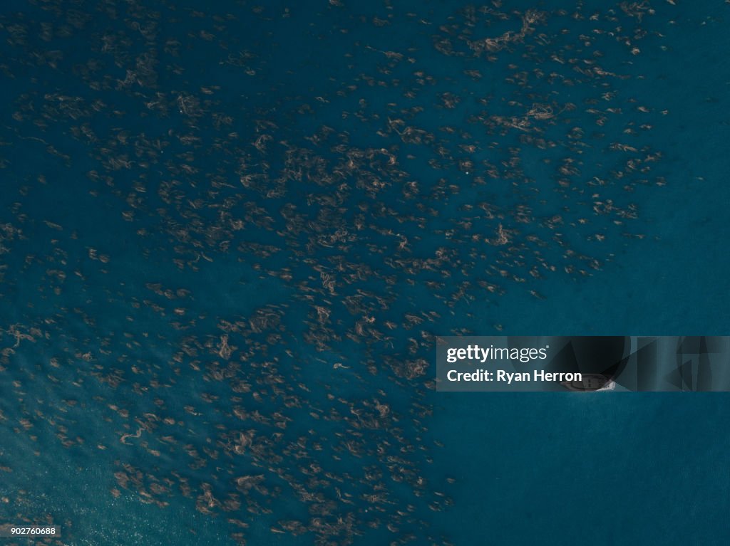 Aerial of Boat in Ocean