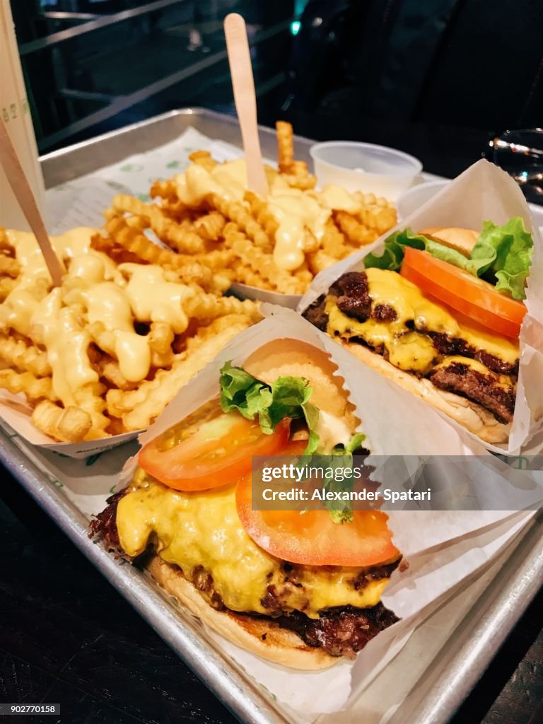 Close up of juicy cheeseburgers and cheese fries