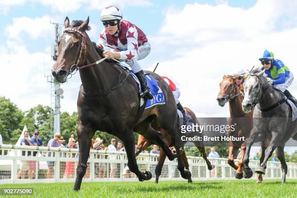 Avanti Rose ridden by Damian Lane wins the Hargreaves Hill Brewery Class 1 Handicap at Yarra Valley Racecourse on January 09, 2018 in Yarra Glen,...