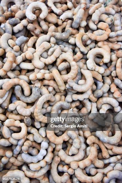 raw tamarind on sale in laos - vendor selling pulses in local market stock pictures, royalty-free photos & images