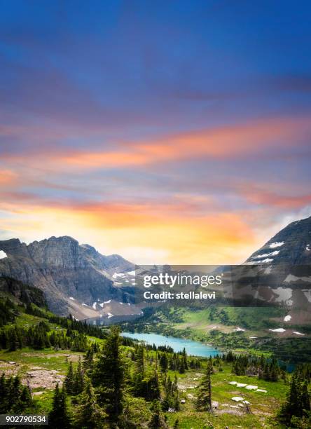 vista del glacier national park - glacier national park foto e immagini stock