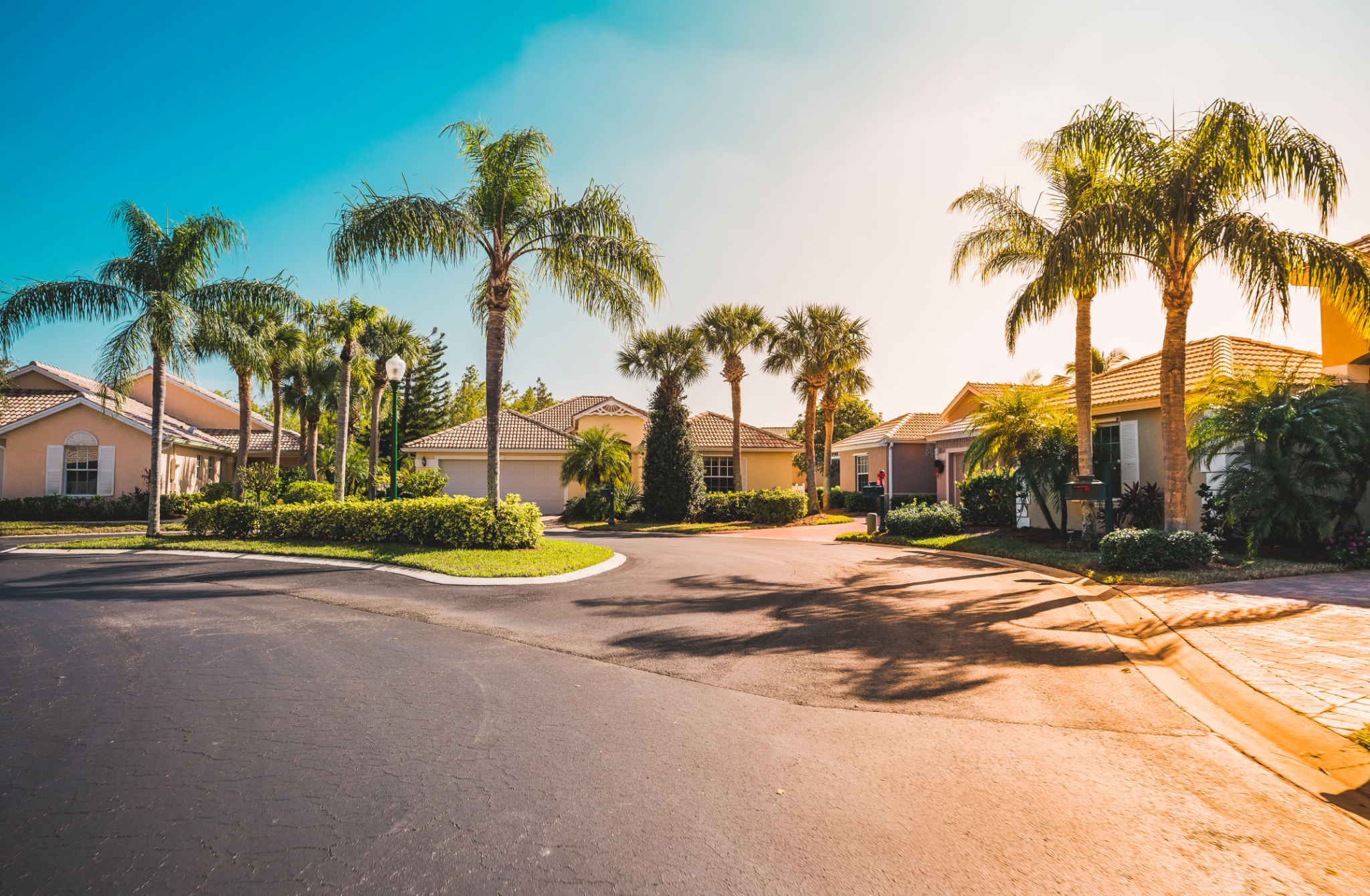 Gated community houses with palms, South Florida Gated community houses with palms, South Florida