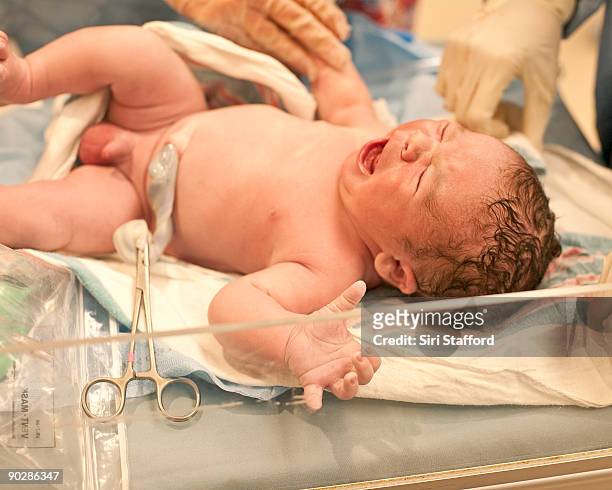 newborn baby boy crying after birth - umbilical cord stock pictures, royalty-free photos & images