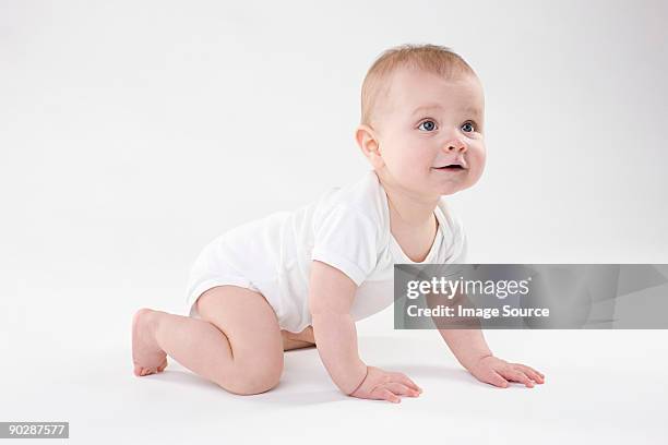 baby crawling - baby isolated stockfoto's en -beelden