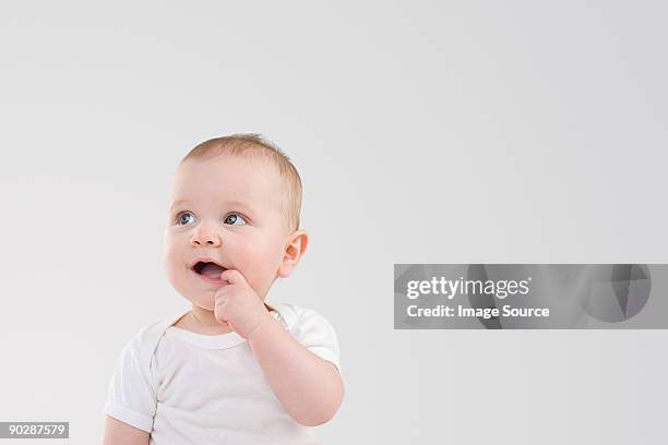 baby with finger in mouth - baby on white stock-fotos und bilder