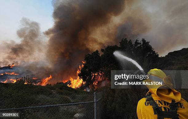 Firefighter tries to save an oak tree during a controlled burn in the suburb of Glendale on the outskirts of Los Angeles city on September 1, 2009. A...