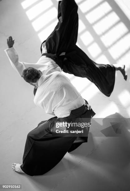 two aikido fighters - akido stock pictures, royalty-free photos & images