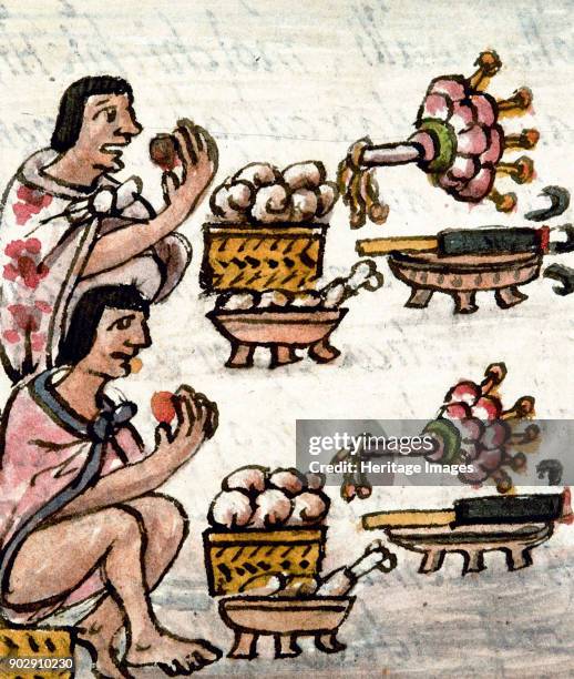 Aztec cuisine. From Historia General de las Cosas de la Nueva España by Bernardino de Sahagún. Found in the Collection of Biblioteca Medicea...
