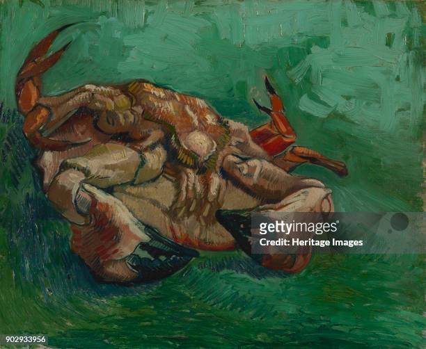 Crab on its Back. Found in the Collection of Van Gogh Museum, Amsterdam.