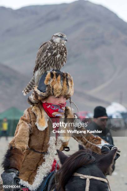 Teenage boy with a saker falcon on his head at the Golden Eagle Festival near the city of Ulgii in the Bayan-Ulgii Province in western Mongolia.