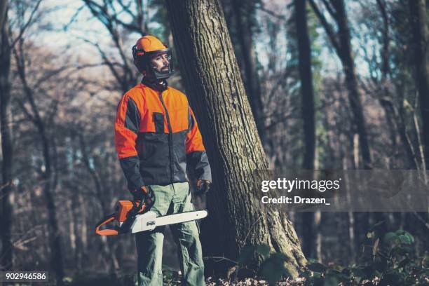 green economy is against deforestation process - forester stock pictures, royalty-free photos & images