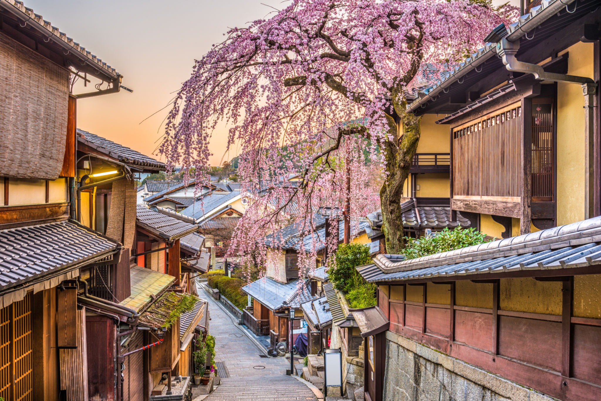 kyoto street