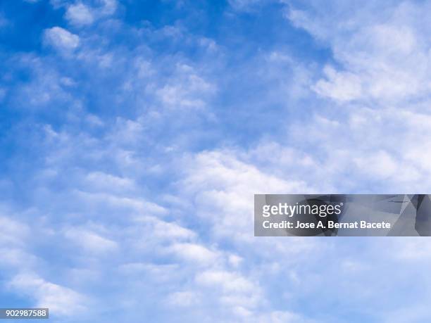 full frame of the low angle view of white color clouds  with a blue sky. valencian community, spain - midday stock pictures, royalty-free photos & images