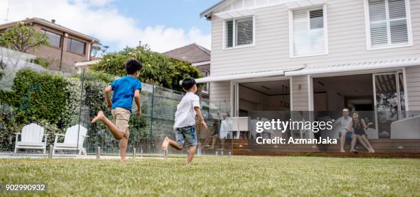 brüder spielen im freien im frühjahr - australia panoramic stock-fotos und bilder