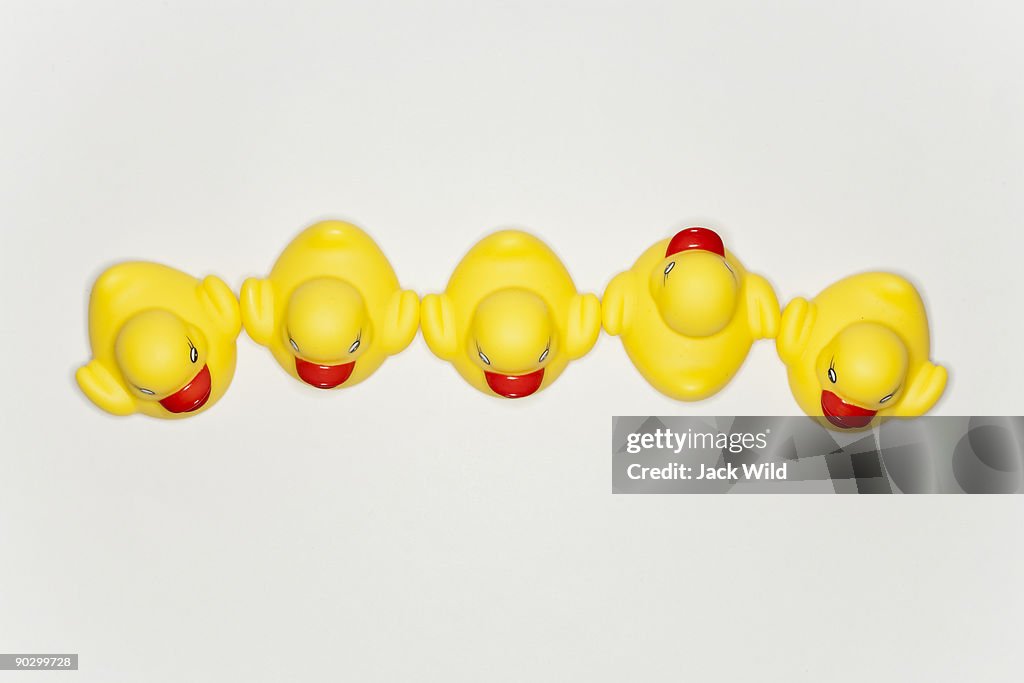 Five yellow ducks stand in a row line