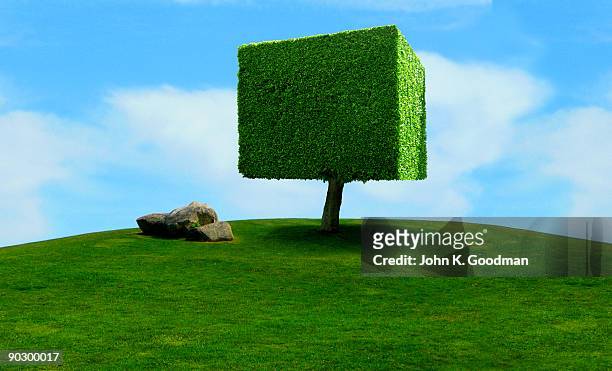 unlikely topiary - topiary 個照片及圖片檔