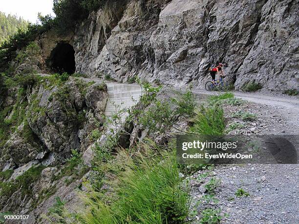 Female Mountainbiker on a tour through the valley of Tegestal to the mountain hut Tarrenton Alm. On August 1, 2009 in Nassereith near Innsbruck,...