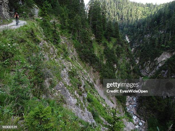 Female Mountainbiker on a tour through the valley of Tegestal to the mountain hut Tarrenton Alm. On August 1, 2009 in Nassereith near Innsbruck,...