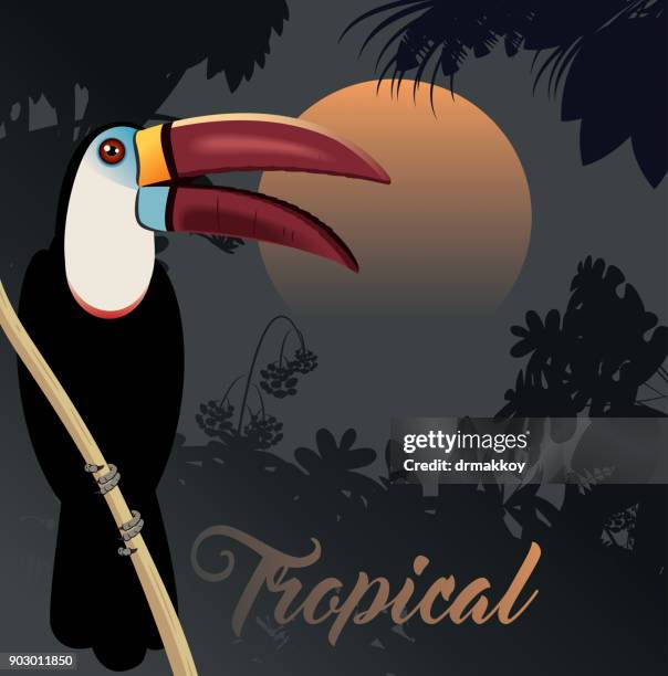 tropical forest - peru rainforest stock illustrations