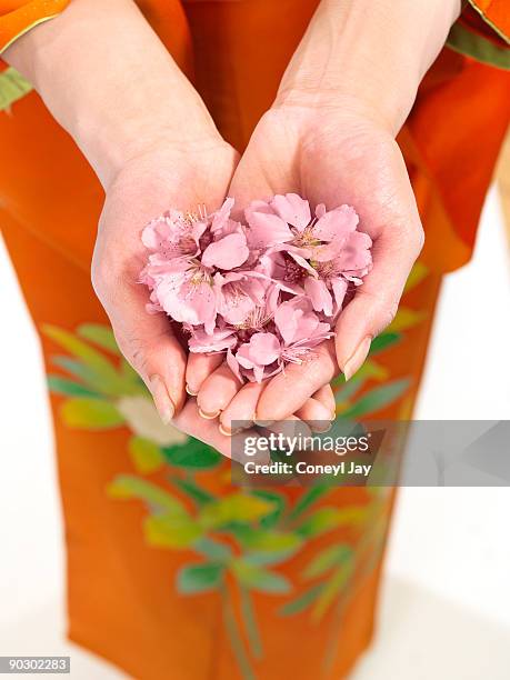 geisha holding handful f cherry blossoms - coneyl - fotografias e filmes do acervo