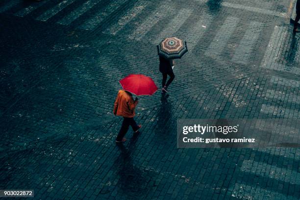 men walking in the rain with umbrella - yellow coat stock pictures, royalty-free photos & images