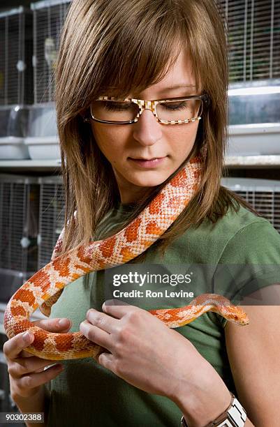 girl holding grass snake around neck - corn snake stockfoto's en -beelden