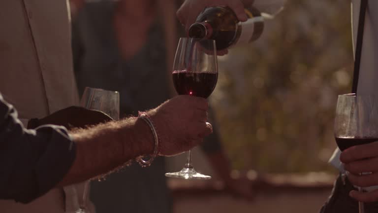 https://media.gettyimages.com/id/903040576/video/young-man-serving-multi-ethnic-friends-red-wine-at-vineyard-winery.jpg?b=1&s=640x640&k=20&c=Pc-RQNWhkIM8k040HJteFH7FMbjsAiqoMA_3Da09GNw=