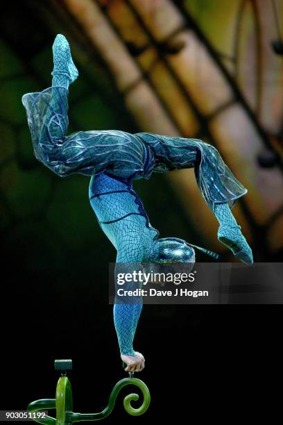 Dragonfly' performs during the Cirque du Soleil 'OVO' dress rehearsal at Royal Albert Hall on January 9, 2018 in London, England.