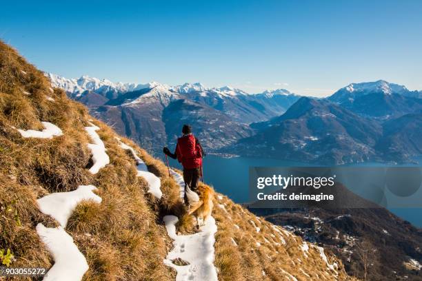 hiker with dog walking on mountains path over lake - snowshoe stock pictures, royalty-free photos & images