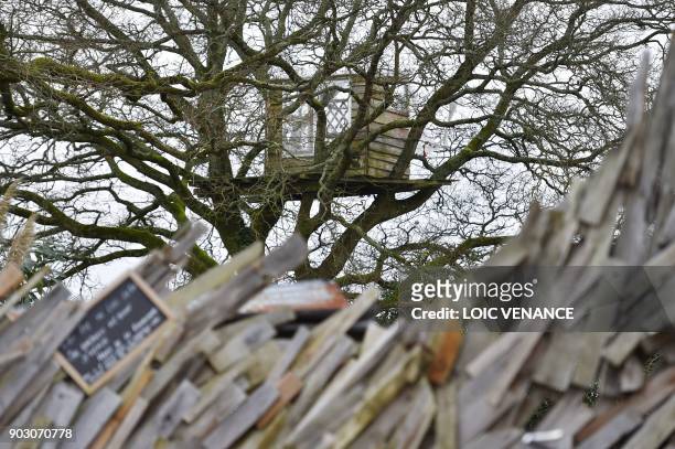 Picture taken on January 9, 2018 shows a wooden treehouse in the "zad" of Notre-Dame-des-Landes, outside Nantes. - Zad activists are occupying a...