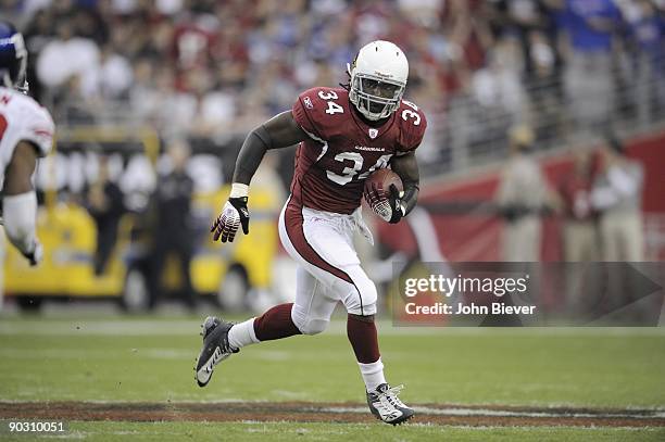 Arizona Cardinals Tim Hightower in action vs New York Giants. Glendale, AZ CREDIT: John Biever