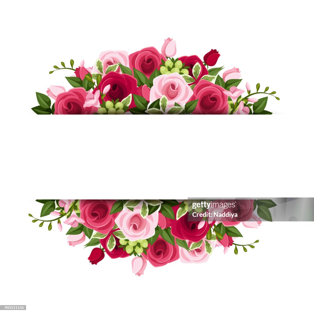 Banner Of Roses Banner With Red And Pink Roses And Freesia Flowers Vector Illustration ...