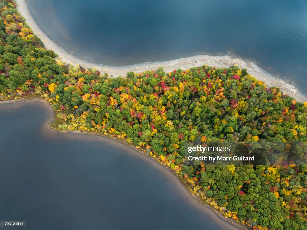 Fall foliage, Grand Lake, New Brunswick, Canada
