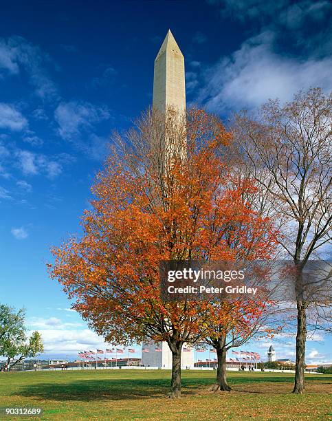 Fall Dc Monuments 362 Washington Monument Fall Stock Photos, High-Res Pictures, and ...